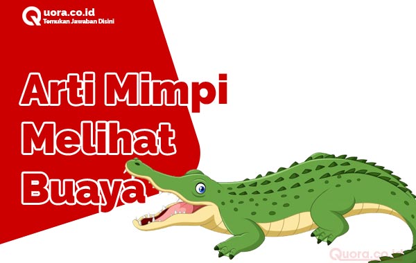 49 Mimpi dikejar buaya putih togel