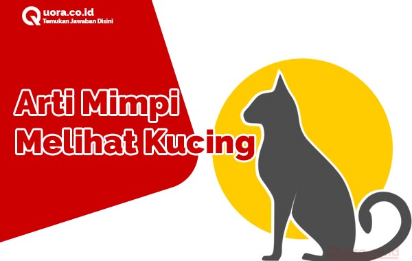 Arti Mimpi Melihat Kucing Menurut Primbon Dan Penjelasanya Quora