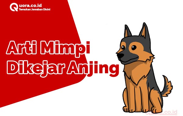 ♥ Mimpi digigit anjing mer togel