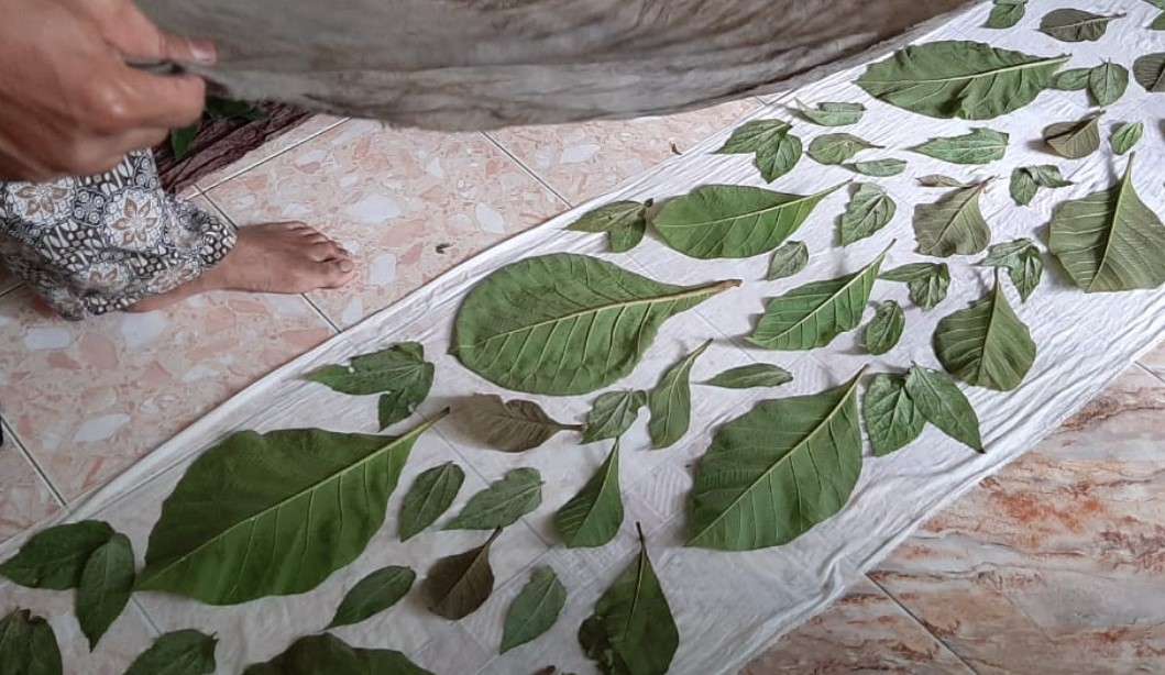 Proses-Pembuatan-Batik-Ecoprint